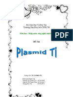 Plasmid Ti