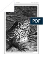 Coti, P. y D. Ariano. 2008. Ecology and Traditional Use of The Guatemalan Black Iguana (Ctenosaura Palearis) in The Dry Forests of The Motagua Valley, Guatemala. Iguana 15 (3) : 142-149.