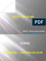 Ciclo celular Mitosis.pptx