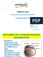 Aula 3 Sistema Esquelético.pptx