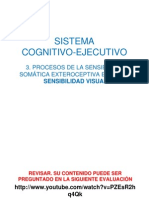 10. S.COG -EJEC-3. SENS.SOM.EXT.ESP.Visión