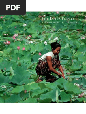 The Lotus Flower