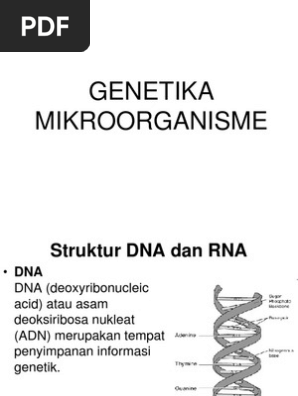 Genetika Mikroba