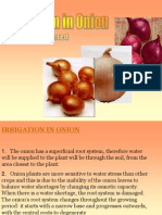 Onion Presentations