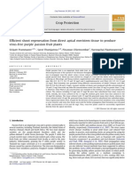 Efficient Shoot Regeneration From Direct Apical Meristem Tissue To Produce Virus-Free Purple Passion Fruit Plants