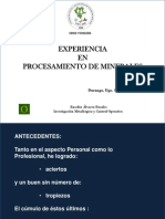 Experiencia en Procesamiento de Minerales