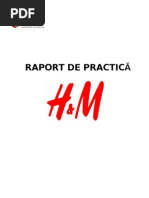 Practica H M Docx