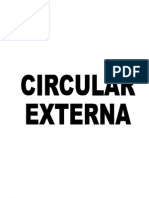 Circular Externa