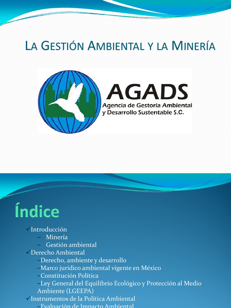 La Gestión Ambiental y La Minería | PDF | Entorno natural | Propiedad