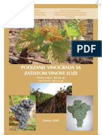 Priručnik Za Podizanje Vinograda Sa Zaštitom Vinove Loze