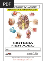 Apostila Anatomia -  Sistema Nervoso