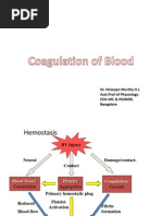Coagulation of Blood