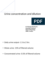 Urine Concentration and Diluting Mechanisms