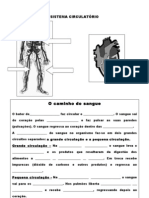 3º Ano-Ficha Sistema Circulatorio