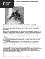 11 Dicas de Como Ensinar Direitos Animais Para Criancas