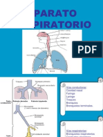 APARATO RESPIRATORIO.ppt