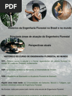 Aula 2- O Engenheiro Florestal