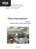 Apostila de Física Experimental 1