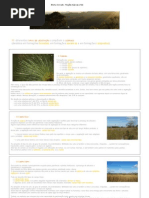 Bioma Cerrado - Noções básicas (1_2)