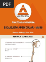 6 Aula - Osso - Esqueleto Apendicular
