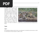 Download Ofiolita by anGL92 SN111403450 doc pdf