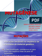 Trabalho de Toxicologia - Mutagênese
