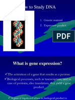 How To Study DNA: 1. Genetic Material 2. Expression Product