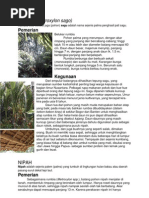 Download Tanaman Berserat by Kartini N SN111432204 doc pdf