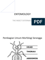 Entomology