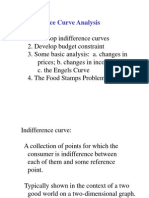 Spring Indifference Curve Analysis