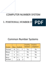 Computer Number System