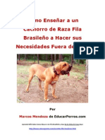 Como Enseñar A Un Cachorro de Raza Fila Brasileýýo A Hacer Sus Necesidades Fuera de Casa