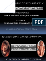 Desarrolloembrionario 090608202121 Phpapp01