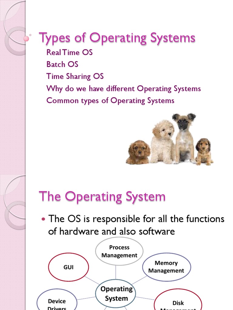 Types of Operating Systems | PDF | Process (Computing) | Operating System