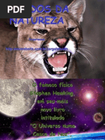 RUGIDOS DA NATUREZA