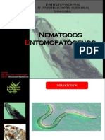 Nematodos Entomopatogenos