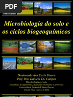 Aula Ciclos Biogeoquimicos