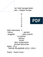 Laporan Hasil Pengamatan