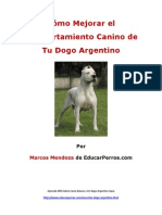 Como Mejorar El Comportamiento Canino de Tu Dogo Argentino