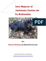 Como Mejorar El Comportamiento Canino de Tu Rottweiler