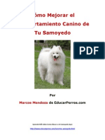 Como Mejorar El Comportamiento Canino de Tu Samoyedo