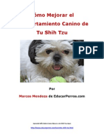 Como Mejorar El Comportamiento Canino de Tu Shih Tzu
