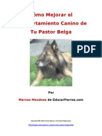 Como Mejorar El Comportamiento Canino de Tu Pastor Belga