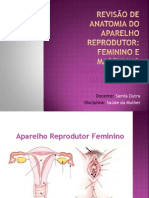 Revisão de Anatomia Do Aparelho Reprodutor