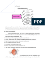 Alat Indra Dan Hormon Manusia