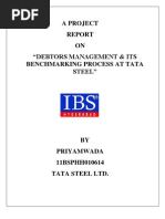 Debtors Management & Its Benchmarking Process at Tata Steel - Priyamwada - 11BSPHH010614