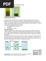 Tratamento Físico - Químico de Efluentes e Água