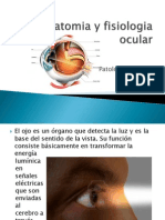 Anatomía y patología del ojo y sus estructuras