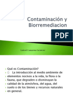 Contaminacion Del Agua