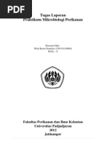 Download Pengenalan Peralatan Praktikum by Widi Restu Gumelar SN111626051 doc pdf